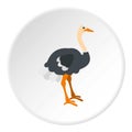 Ostrich icon circle