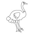 Ostrich icon, outline style