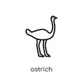 Ostrich icon. Trendy modern flat linear vector Ostrich icon on w