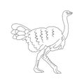 Ostrich icon