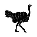 Ostrich icon