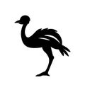 Ostrich Icon Vector