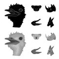 Ostrich, koala, rhinoceros, crocodile, realistic animals set collection icons in black,monochrome style vector symbol