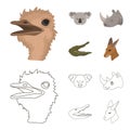 Ostrich, koala, rhinoceros, crocodile, realistic animals set collection icons in cartoon,outline style vector symbol