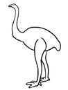 Ostrich in line style isolated on white background. Vector illustration. Sketch ostrich. Animal in the African zoo Royalty Free Stock Photo