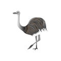 Ostrich nandu stands on a white background. Animals of South America. Royalty Free Stock Photo