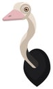 Ostrich portrait made in unique simple cartoon style. Head of African ostrich. Isolated icon for your design Royalty Free Stock Photo