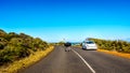 Ostrich on the road from Cape Point to Cape of Good Hope Royalty Free Stock Photo