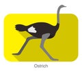 Ostrich running, animal body series, vector