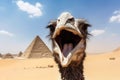 Ostrich selfie pyramids. Generate Ai Royalty Free Stock Photo