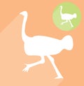 Ostrich silhouette