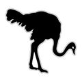 Ostrich silhouette