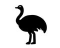 ostrich silhouette, ostrich vector illustration in black, isolated icon on white background Royalty Free Stock Photo