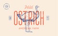 Ostrich. Template Label. Vintage retro print
