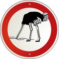 Ostrich to cower Royalty Free Stock Photo