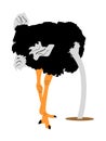 Ostrich vector illustration isolated on white background. Cartoon character. Big bird from Africa. Ostrich with hand in sand. Royalty Free Stock Photo