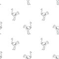 Ostrich vector pattern