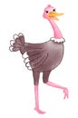 Ostrich . Watercolor paint design . Cute animal cartoon character . Walking gesture . Vector