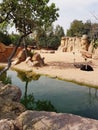 Ostriches family in the nature