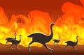 Ostriches running from forest fires in australia animals dying in wildfire bushfire burning trees natural disaster