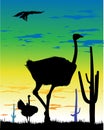 Ostriches in the steppe and eagle in the sky Royalty Free Stock Photo