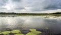 A Ostriv`yanske lake of Shatsky Lakes group, Ukraine
