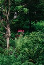 Pink chairs in the garden at Osulloc Green Tea Farm Scenery in summerin Jeju.