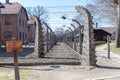 Barbed wire fence in Auschwitz concentration camp memorial in Poland Royalty Free Stock Photo