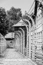 View between electrified barbed-wire double-fence with lamps at Auschwitz I, Former German Nazi Concentration Camp Royalty Free Stock Photo