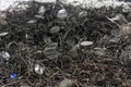 Oswiencim, Poland - September 21, 2019: Stack of glasses who once belonged to the jews and other prisoners from Royalty Free Stock Photo