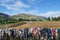 Brassiere and lady bras at Cardrona Bra Fence for breast cancer campaign in New Zealand