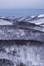 Otaru city view from Tenguyama mountain during winter.