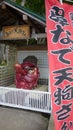 Mount Tengu is a 2,646m mountain on the border of Chino and Koumi of Nagano in Japan