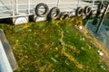 OTAVALO, ECUADOR, SEPTEMBER 03, 2017: Close up of floating platform, with a view of the dirty water with aquatic plants