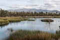 Otay Lakes County Park with Marsh Grass in Lake and Mountains Royalty Free Stock Photo