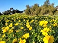 Otay valley regional park Royalty Free Stock Photo