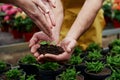 Other growing flowers. Woman hands watering the little plant that holding by a men Royalty Free Stock Photo