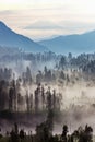 The Other Side in Bromo Royalty Free Stock Photo