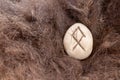 Othila or Othial Nordic stone rune on animal fur. Letter Ethel of the Viking alphabet