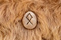 Othila or Othial Nordic stone rune on animal fur. Letter Ethel of the Viking alphabet