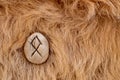 Othila or Othial Nordic stone rune on animal fur. Letter Ethel of the Viking alphabet