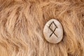 Othila or Othial Nordic stone rune on animal fur. Letter Ethel of the Viking alphabet