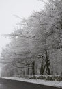 Otley Chevin, UK in the snow Royalty Free Stock Photo