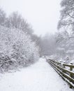Otley Chevin, UK in the snow Royalty Free Stock Photo