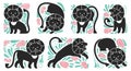 Otlined vector lions set in different poses.