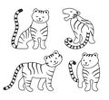 Otlined vector tigers set in different poses.