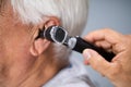 Otolaryngology Check. Doctor Checking Ear Royalty Free Stock Photo