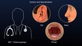 ENT or otolaryngologist - Doctor and Specialization of ear nose throat