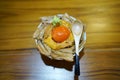 Otoro and uni don - Bowl of steamed rice with grilled tuna, fresh sea urchin roe, egg yolk and wasabi. Royalty Free Stock Photo