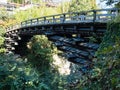 Kai Saruhashi, one of the three unusual bridges of Japan